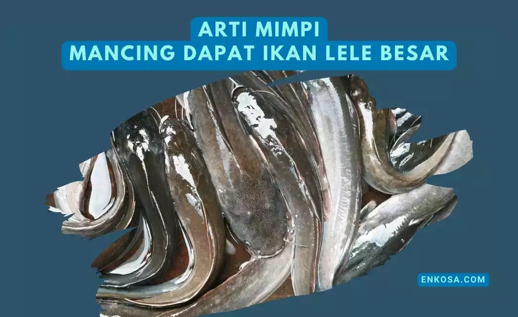 Arti Mimpi Mancing Dapat Ikan Lele Besar, Pertanda Baik?