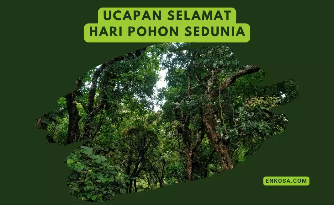 70 Ucapan Selamat Hari Hutan Sedunia 21 Maret